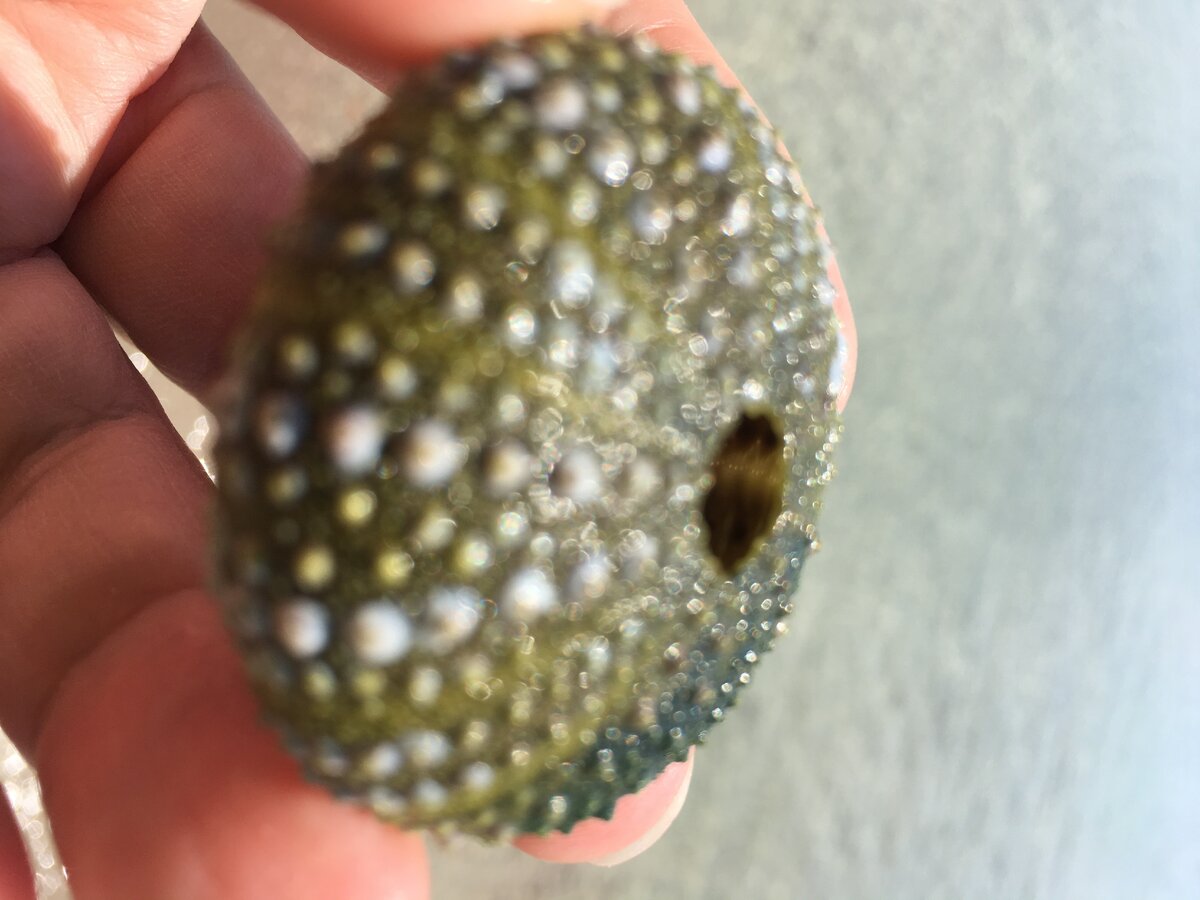 Дочери берут мам с собой на отдых, их мужья предпочитают взять няню.