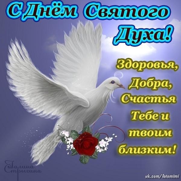 Фото из Яндекс картинки 