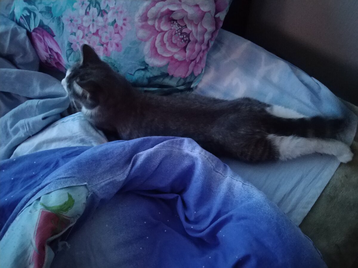 Знаменитая поза 😀