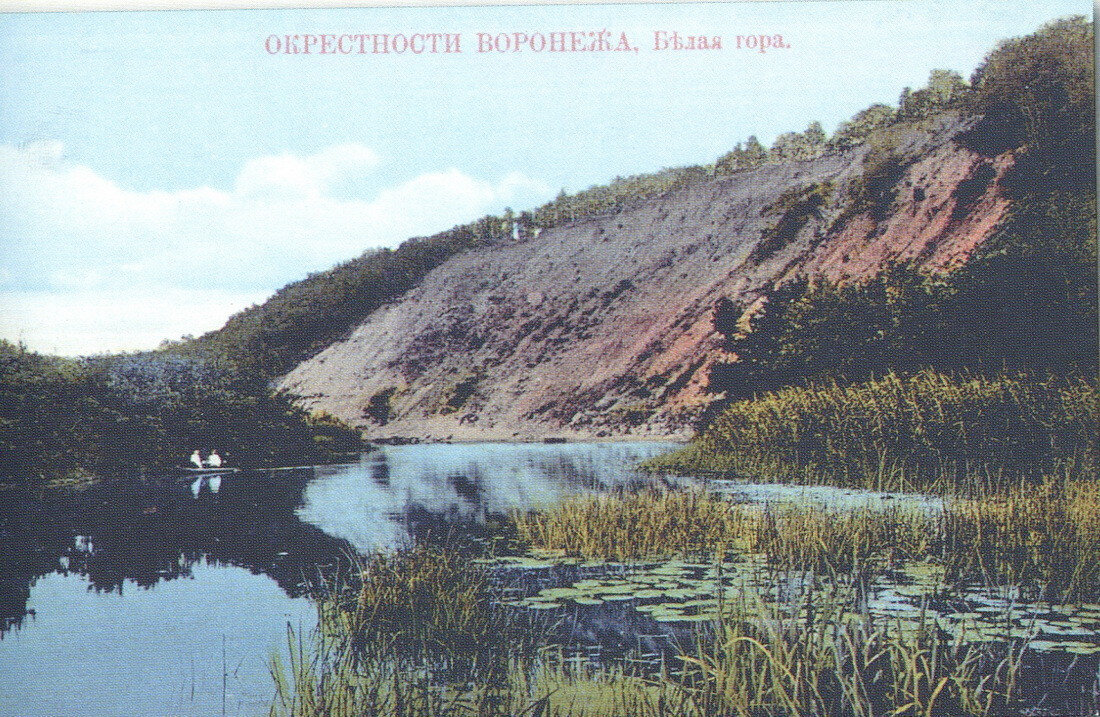 Фото взяты с https://bloknot-voronezh.ru/ 