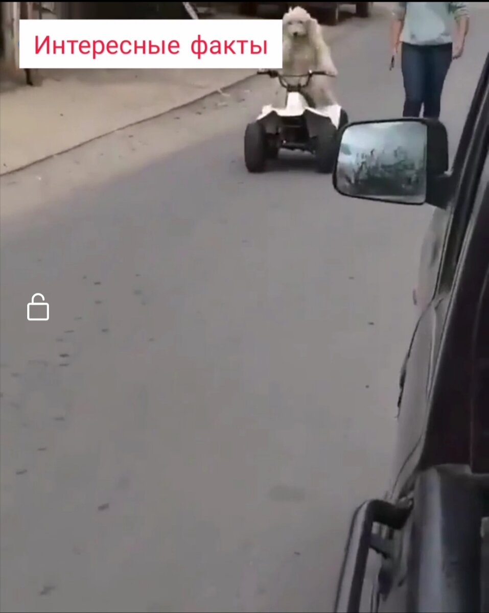 Когда понял что тебя снимают.