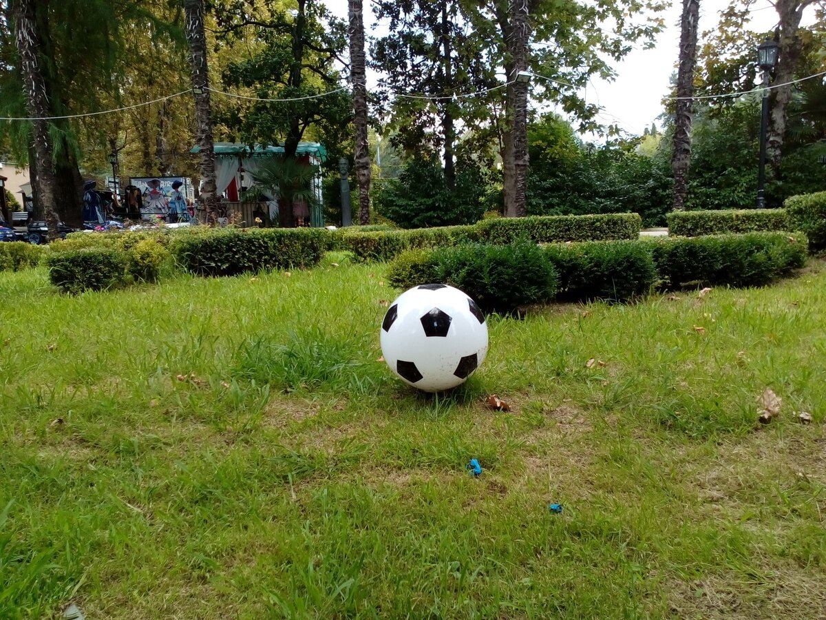 Авторское фото. Чёрно-белый футбольный мяч в парке Ривьера Сочи.