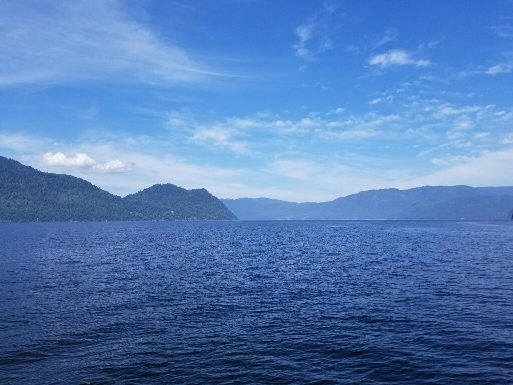 Фото: Телецкое озеро / Июль 2020