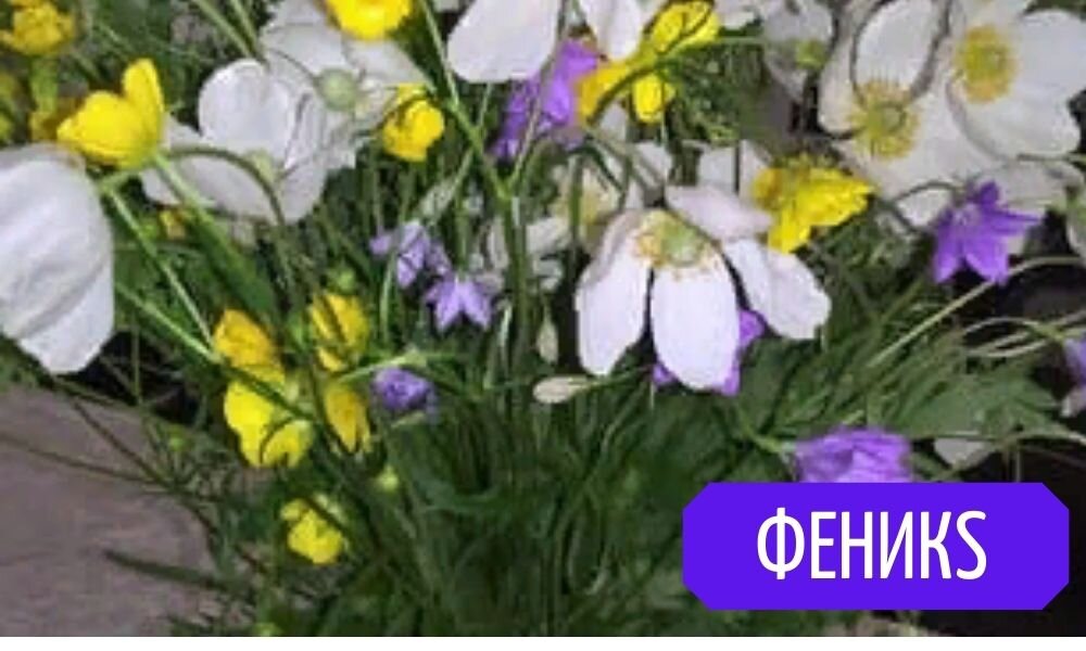 Красиво, правда))