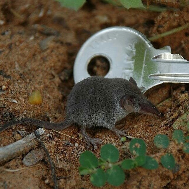 Взято из открытого источника Яндекс.Картинки