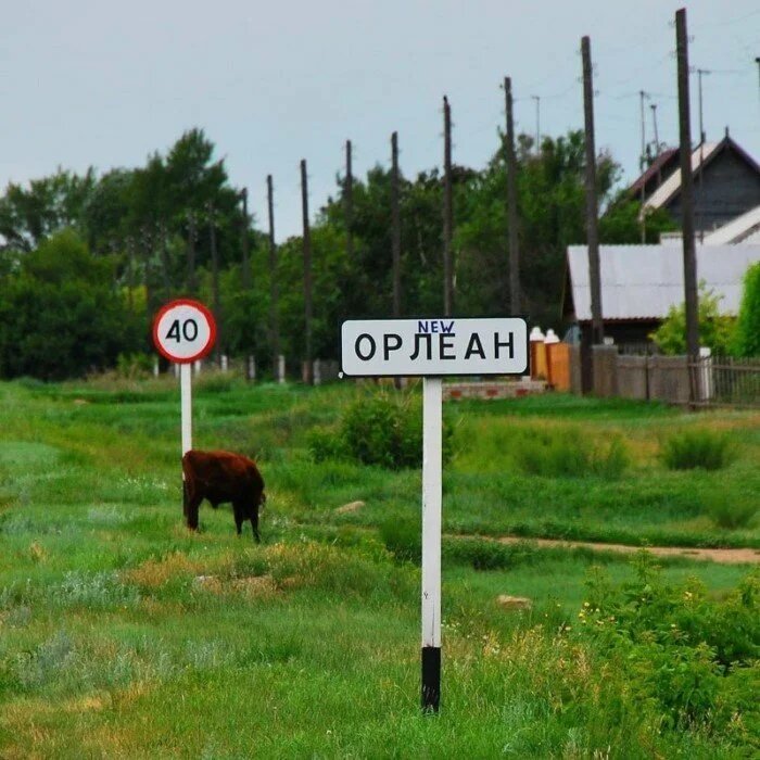 Орлеан. Возможно, даже новый. Алтайский край.