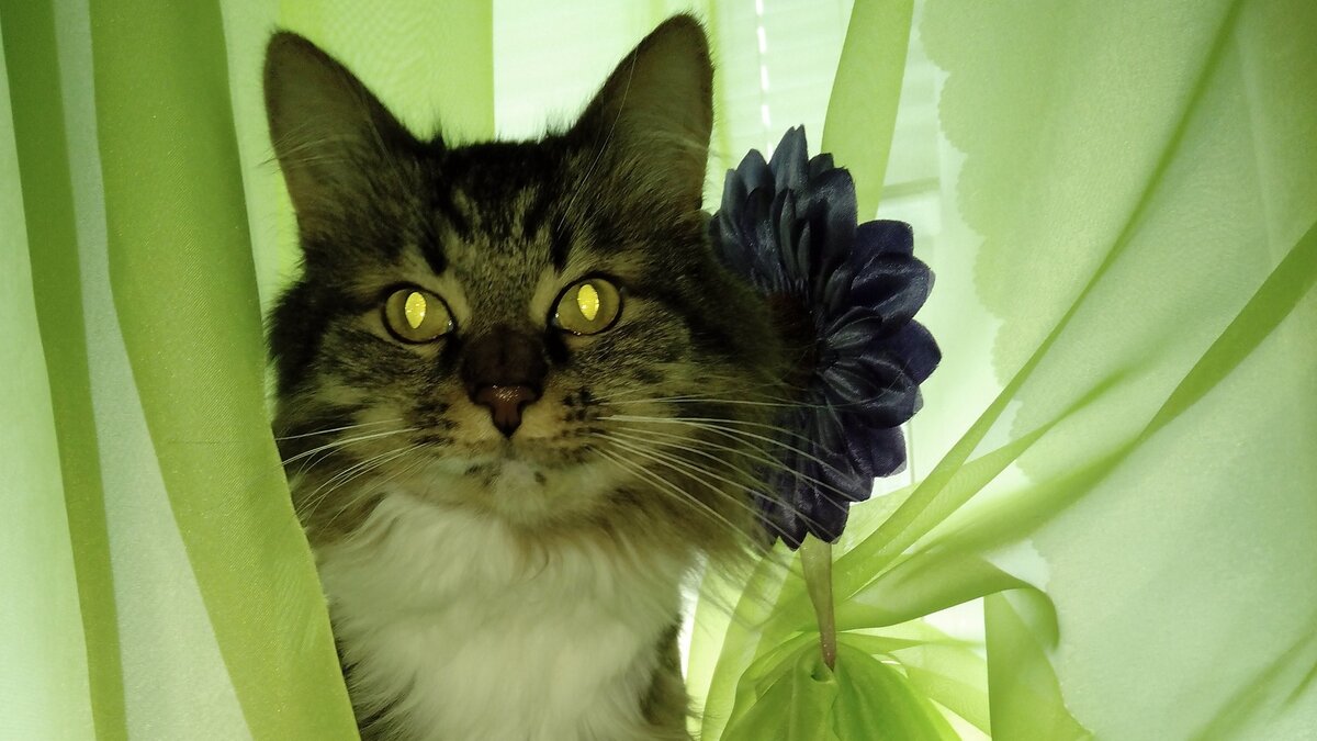 Подписывайтесь на мой канал, так Вы поддержите его и не пропустите новые статьи! «Лайк» и комментарии приветствуются!