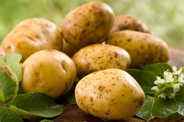 Картофель: насколько он полезен и как часто его можно есть