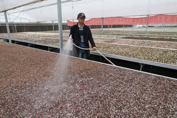 Фото: РИА Новости/Илья Питалев