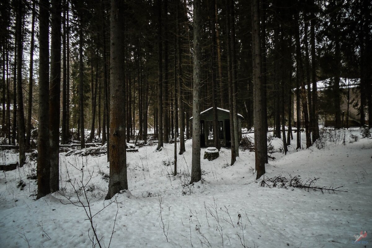 Территория заброшенного детского лагеря. 