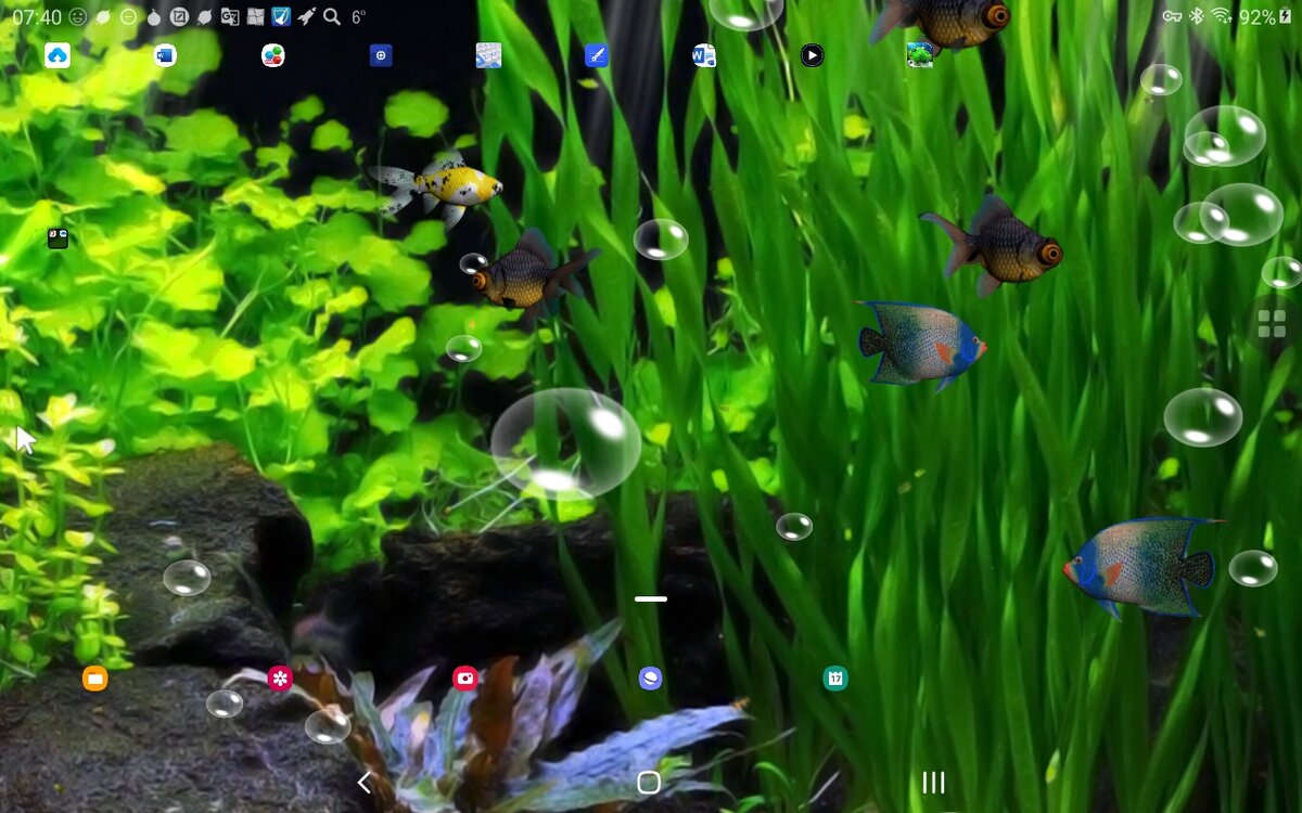 Аквариум на рабочем столе Андроида. Скриншот мой.