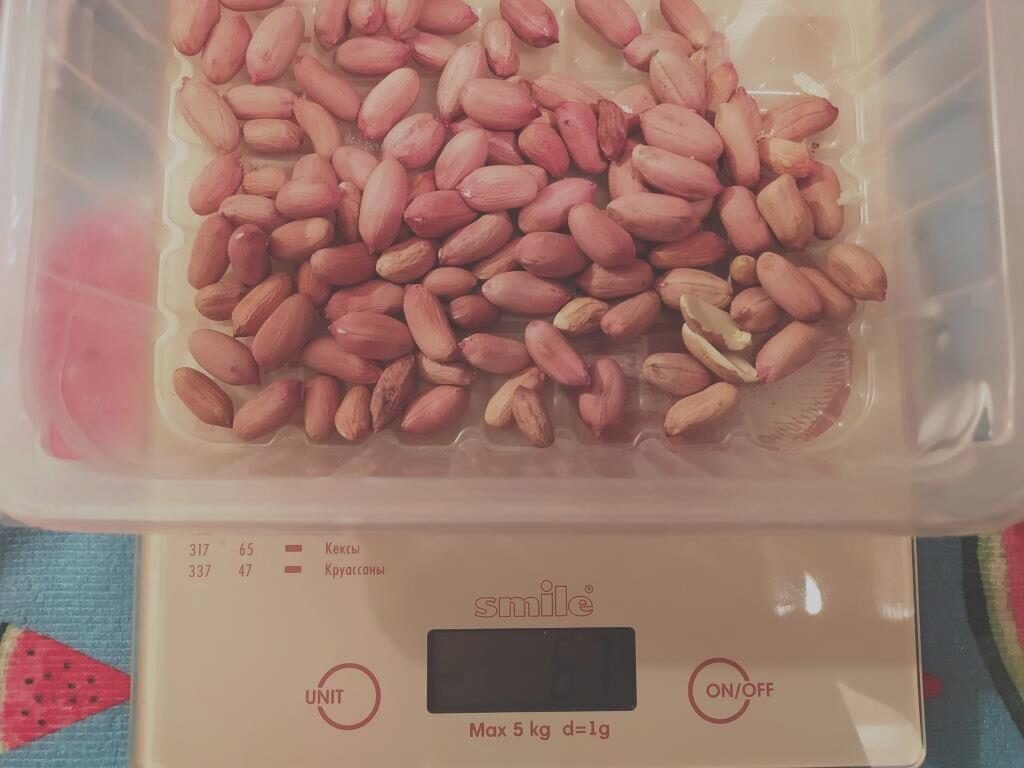 поля арахиса. где растет арахис. страны выращивающие арахис. страны выращивающие арахис. страны выращивающие арахис.