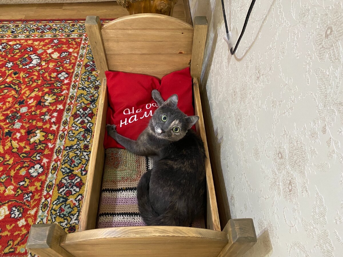 Кроватка для кошки.