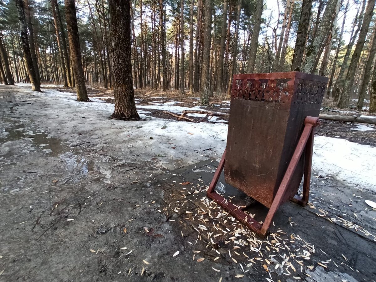 парк поколений брянск новостройка