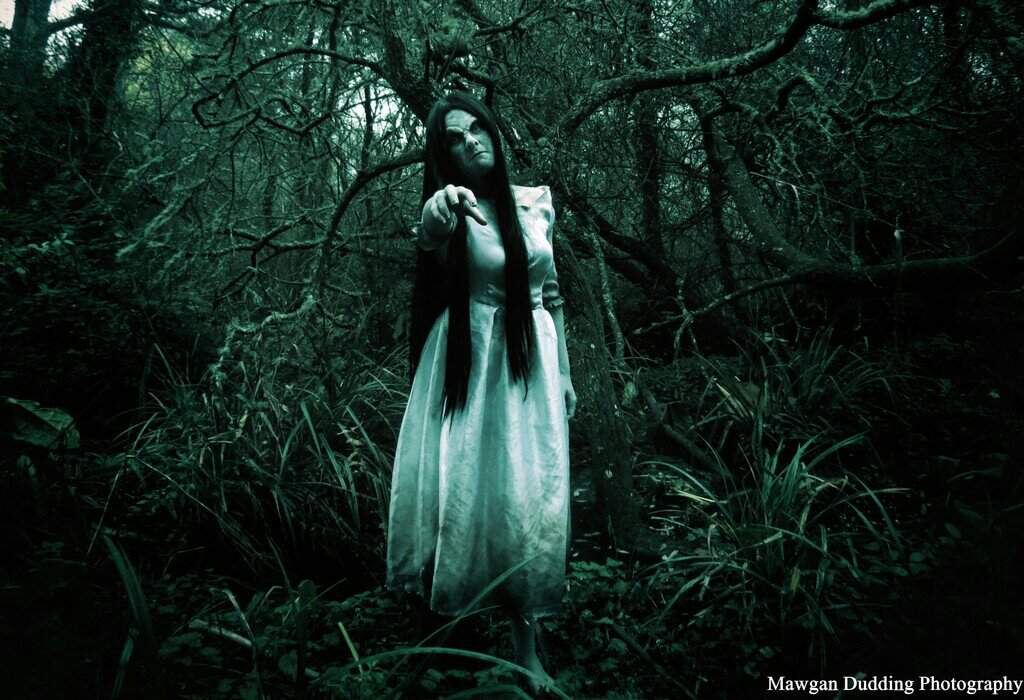 Фото без авторских прав.