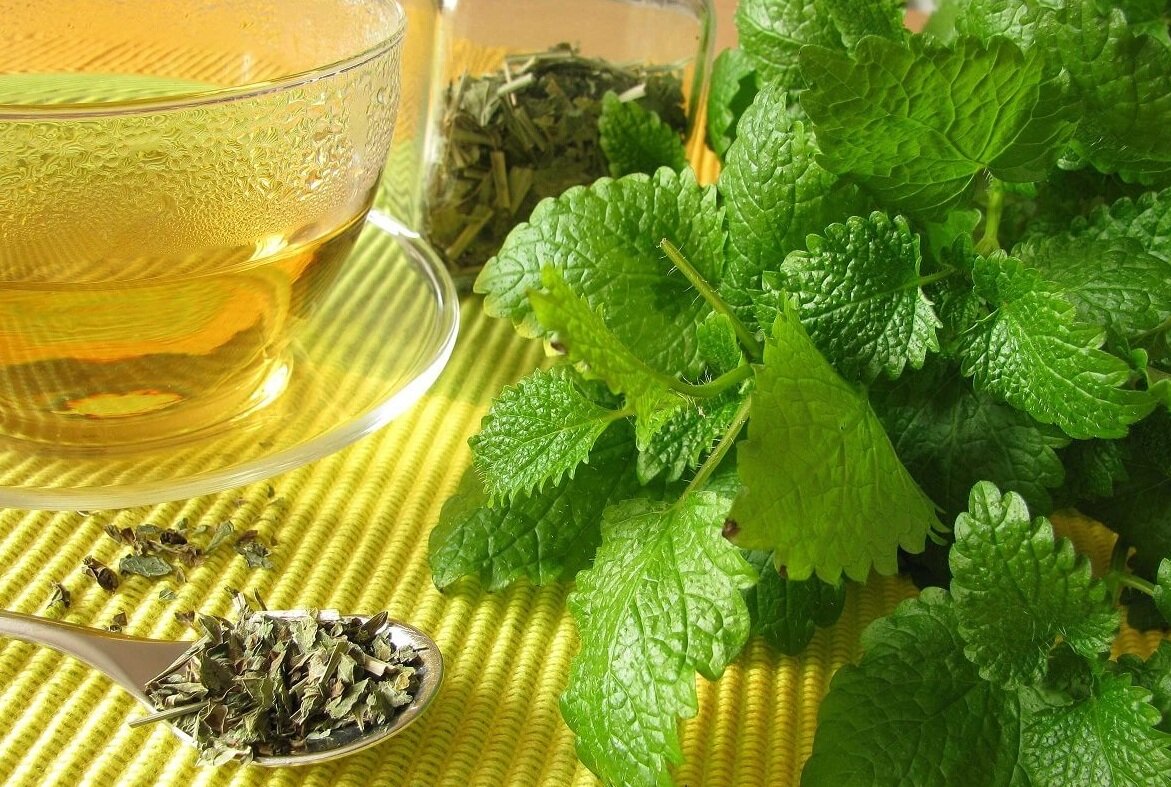 Чай с мелиссой. Фото из Интернета.