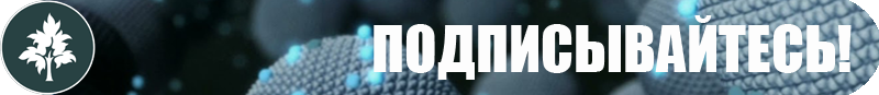 У верблюдов действительно есть вода в горбах?