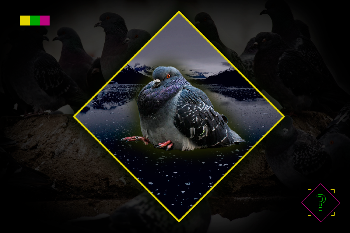 Поддержите меня подпиской и лайком👍, если Вам понравится статья