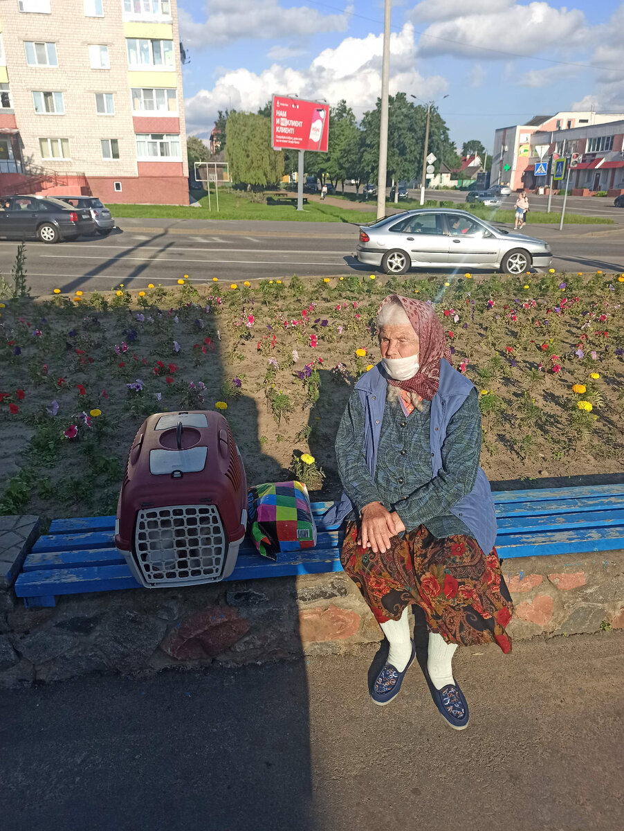 Всё по правилам