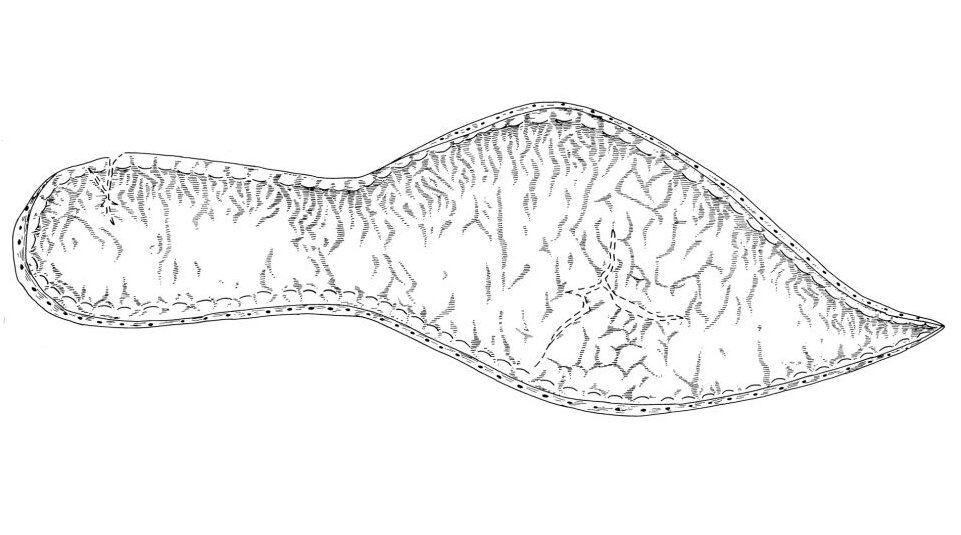 Подошва модных средневековых туфель