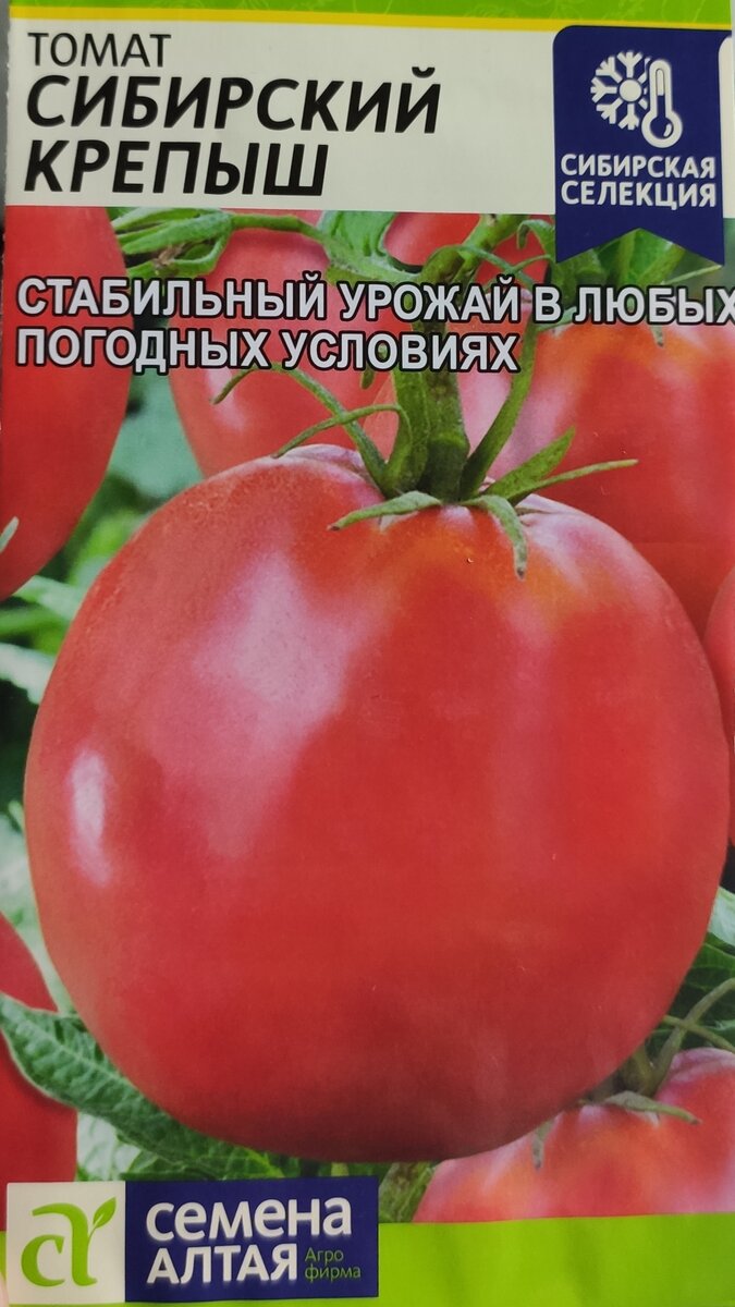 Томаты для сибири. Семена Алтая томат Сибирский Крепыш. Сибирская селекция семена Алтая томаты. Томат Крепыш Семко. Семена томатов сибирской селекции СИФИБР.