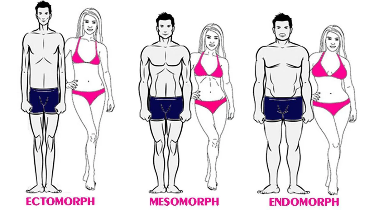 Эндоморф фигура. Тип фигуры мезоморф. Типы телосложения у женщин эктоморф мезоморф эндоморф. Мезоморфный Тип телосложения у женщин. Типы тела у женщин мезоморф эндоморф.
