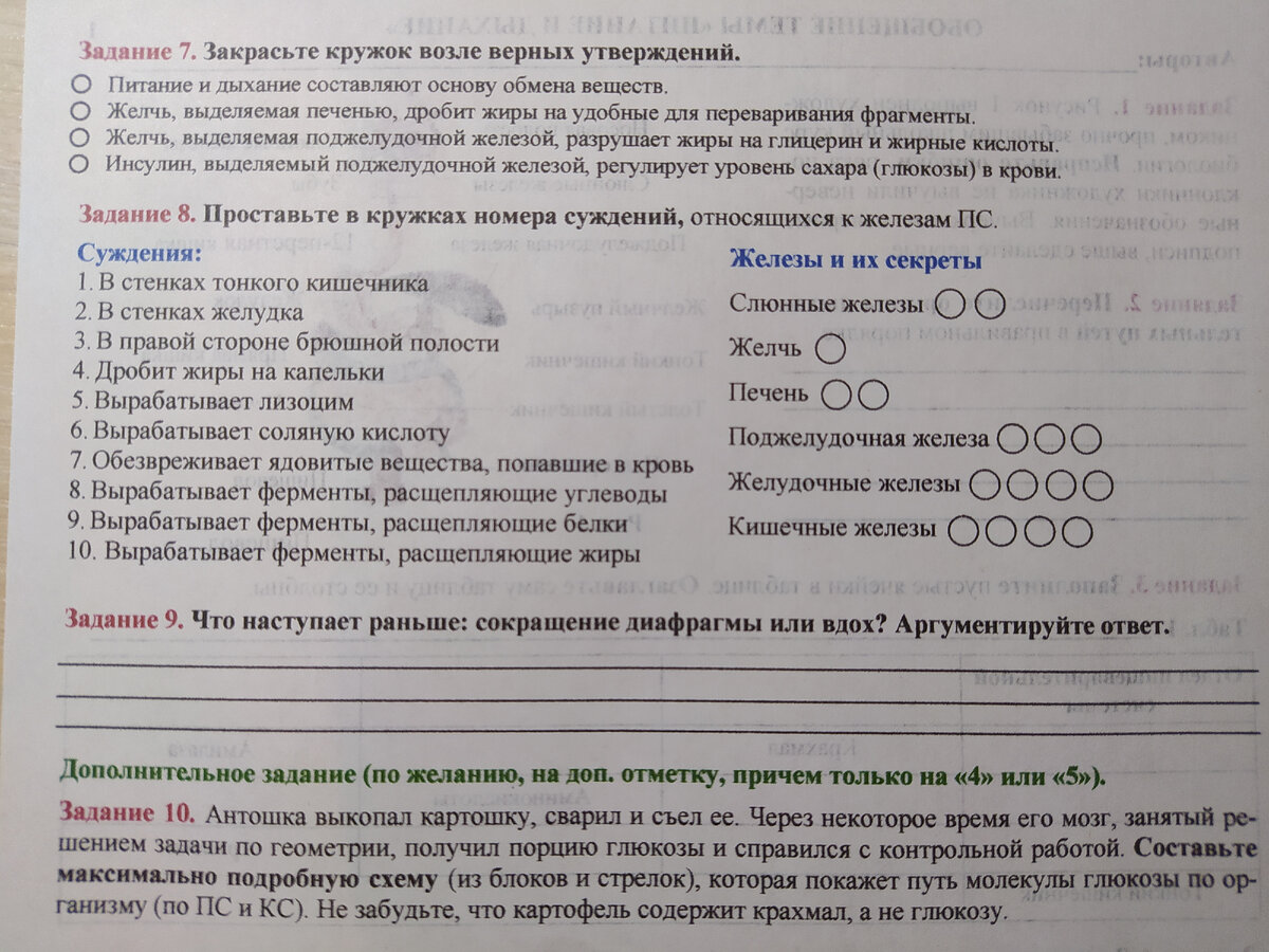 Завершаем изучать пищеварение — переваривание и всасывание. Еще три урока  для 8 класса | Елена Сова: пуд соли в школе | Дзен