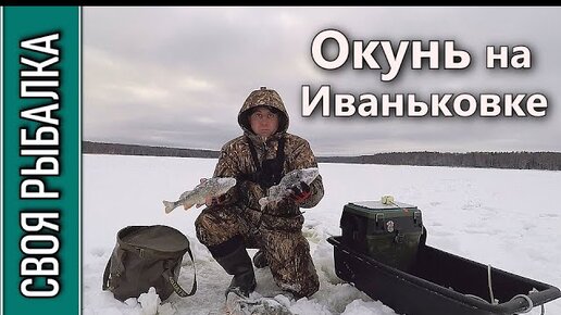 Окунь на блесну. Оторвался с одной лунки! Иваньковское водохранилище