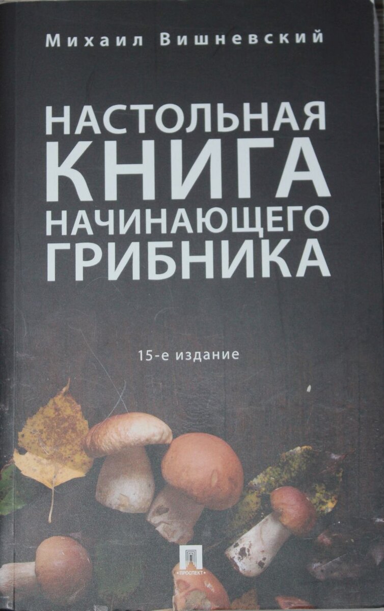 За грибами круглый год. Февраль 2022. | Вадим Морозов | Дзен