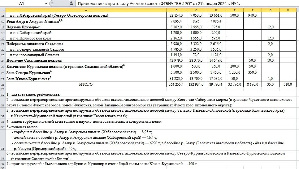 Фото: телеграм-канал Акула пера