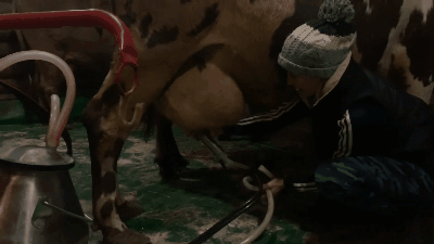 Нажмите на гифку 