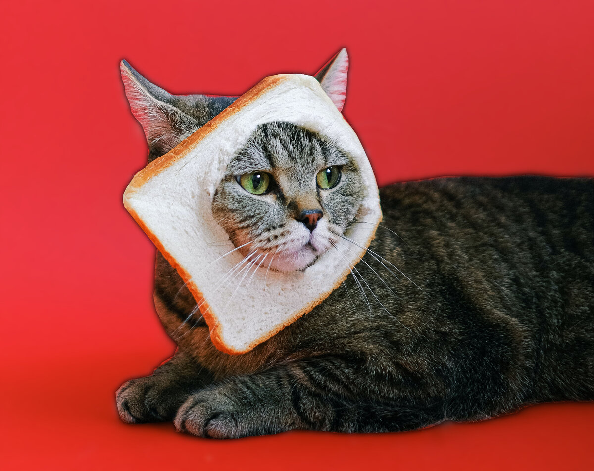 Производство смеха | В мире юмора и сатиры