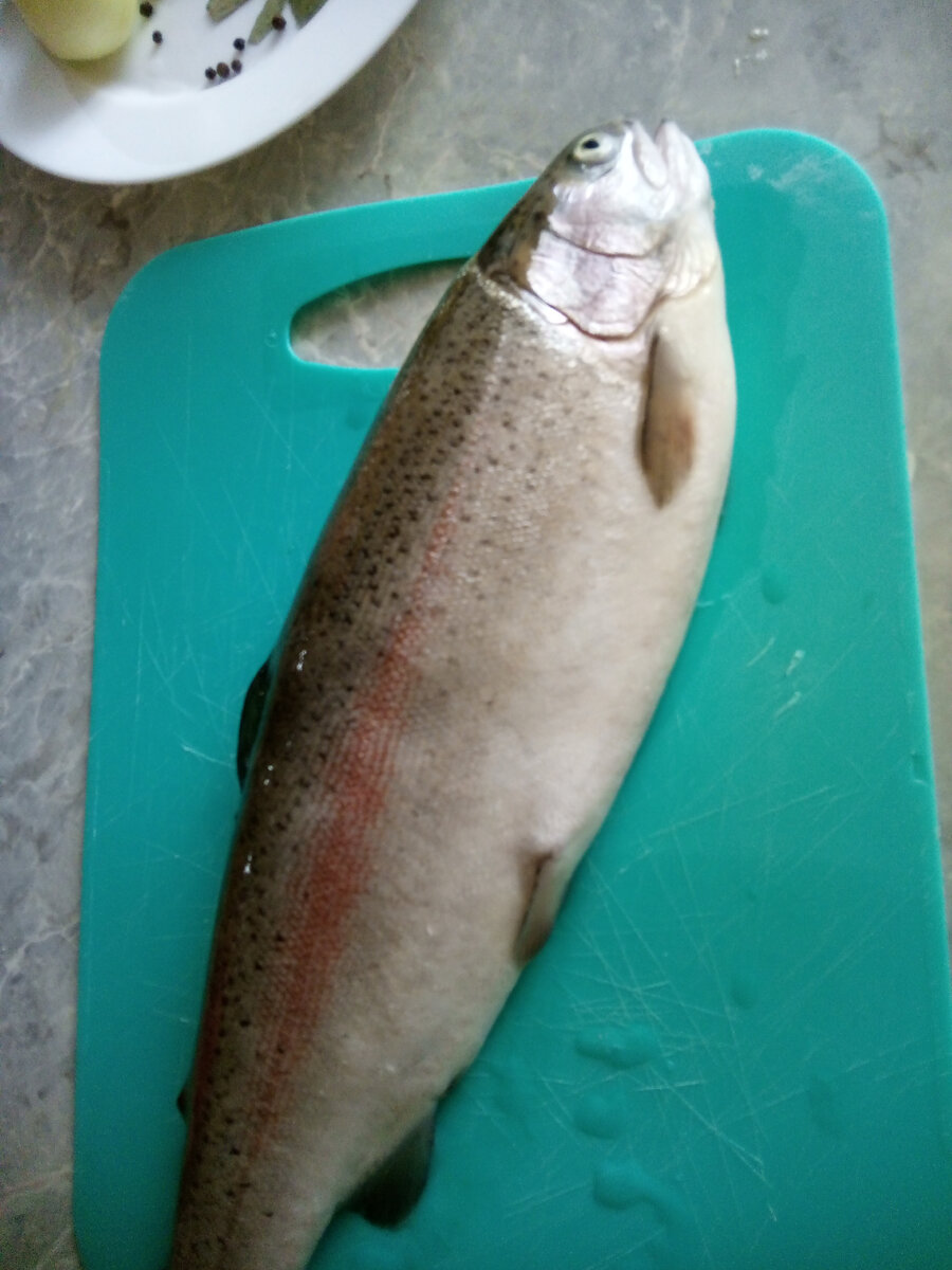 Форель охлажденная