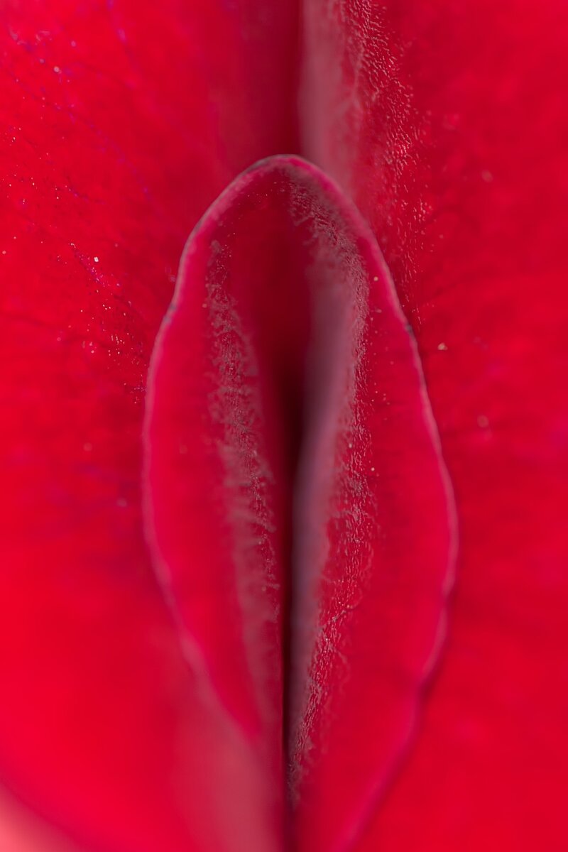 Половые губы крупным планом фото