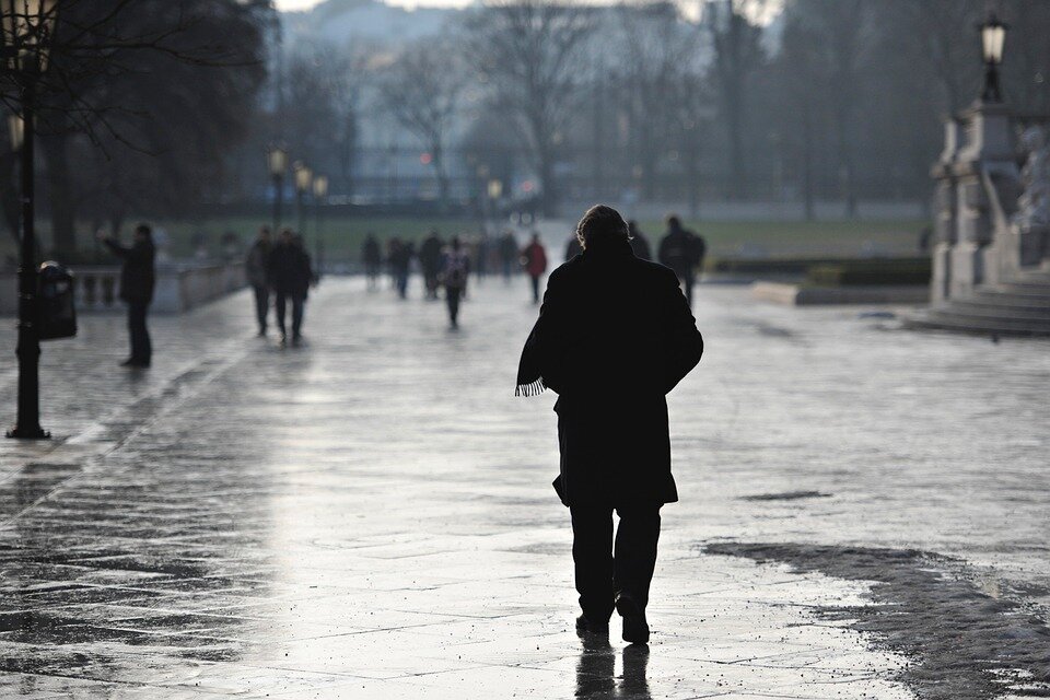 Фото: Pixabay