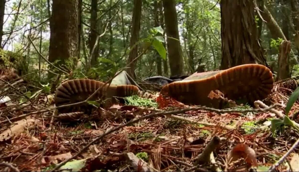 Здесь очень часто гибнут люди, причём целыми группами.