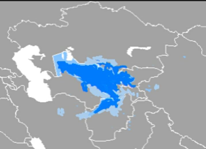 Распространение литературного диалекта узбекского языка