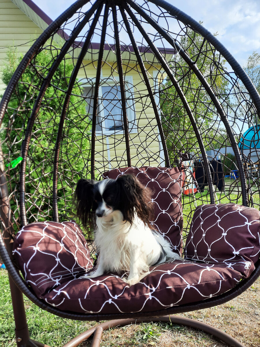 Подруга Жужа на загаре