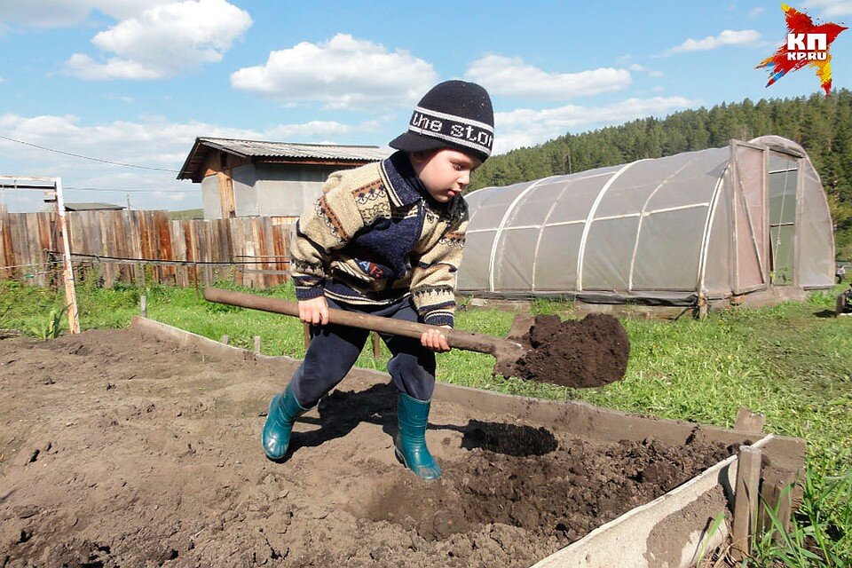 Дети посадили огород. Картошка в огороде. Копать огород. Копание грядок. Копка огорода.