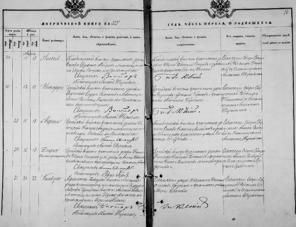 Метричекая книга Себежской Христорождественской церкви за 1895 год. Сведения о родившихся