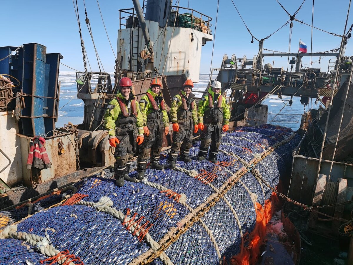 Работали в Охотском море на сельди. Вот такой мешочек селёдки вытянули.