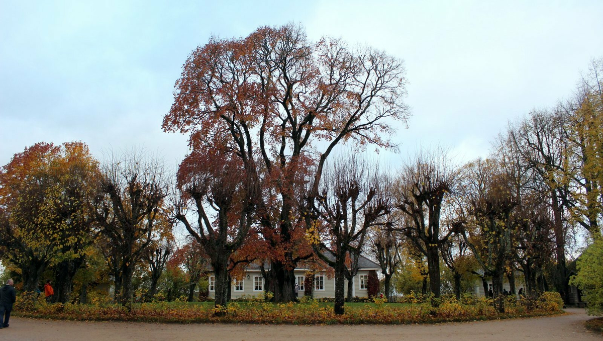 Фотоистория: Петровское, Михайловское, Пушкинские горы | Сергей Костриков |  Дзен