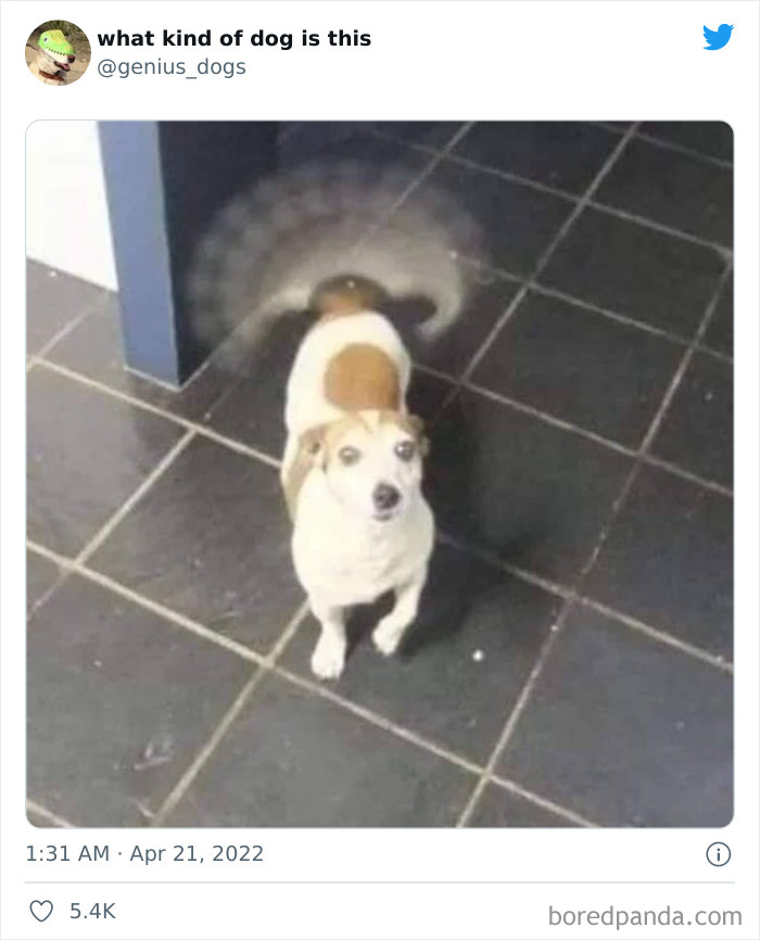 Источник: https://www.boredpanda.com/