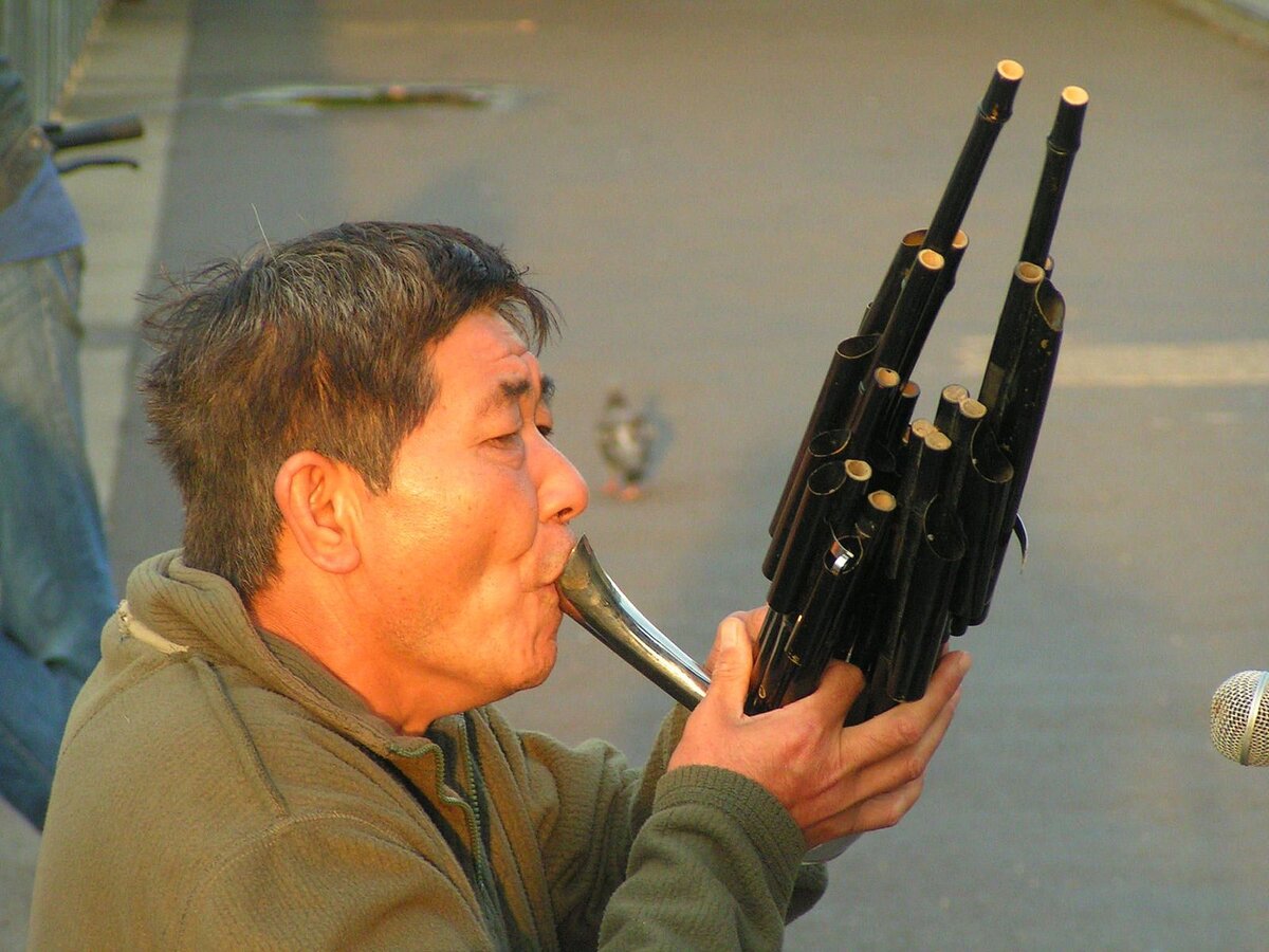 Шэн китайский язычковый духовой музыкальный инструмент 