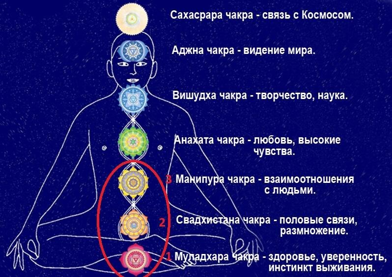 ИНДИЙСКАЯ СИСТЕМА ЧАКР