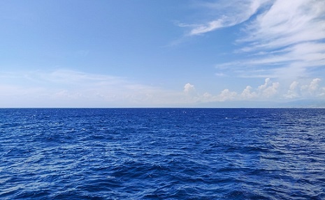 Изображение из открытого источника. Unsplash