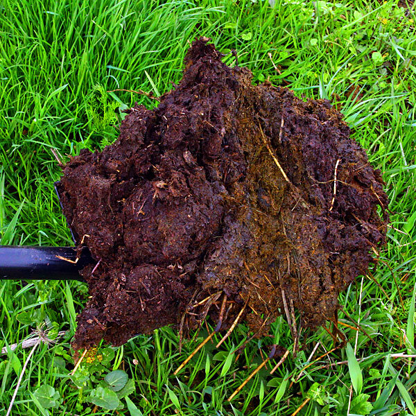 Выбирайте самое лучшее удобрение для своих посадок