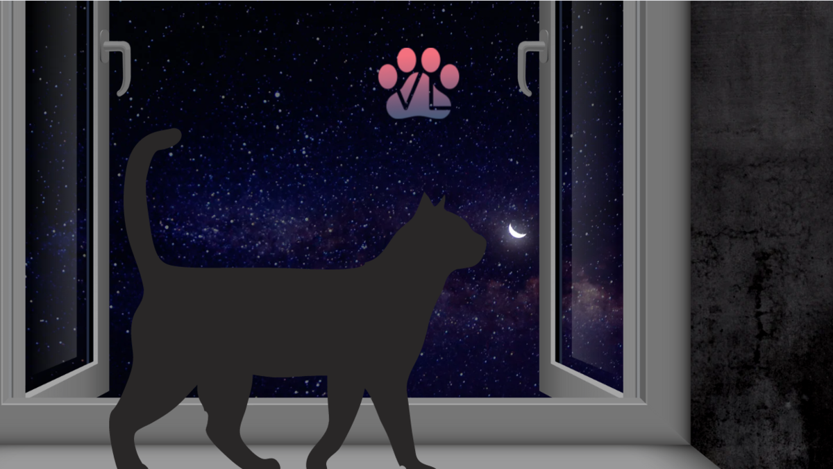 Не позволяйте своим кошкам выпрыгивать в окно: используйте антикошки, или держите их закрытыми (приоткрытыми на безопасные 3 см)