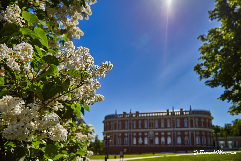 Сирень и "Хлебный дом"