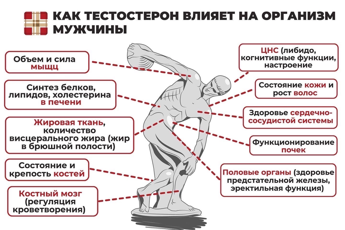 Влияет ли тестостерон на рост волос на лице